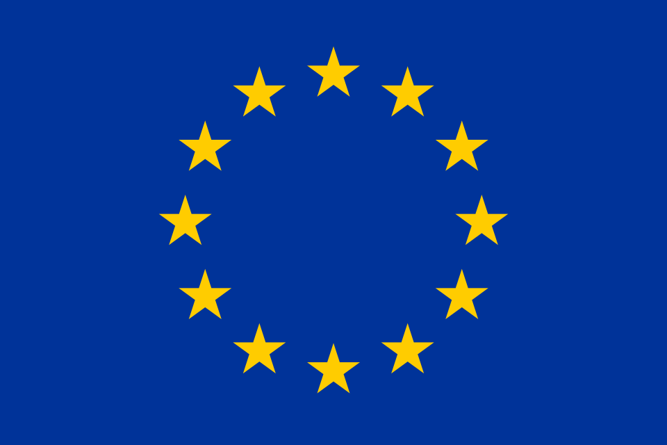 Bandiera dell’Unione europea